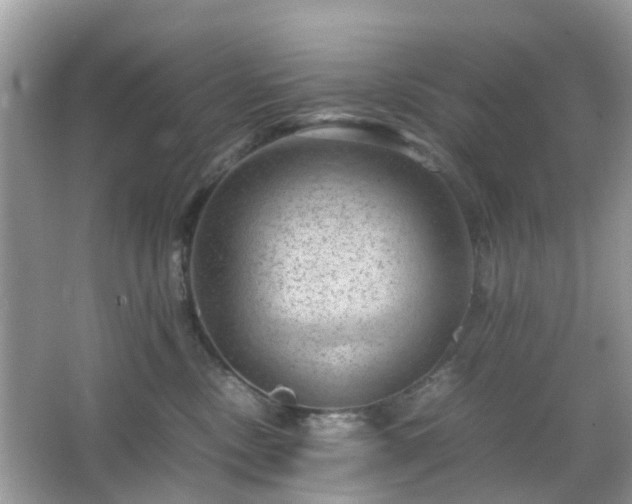 X0000066110378200603131308
