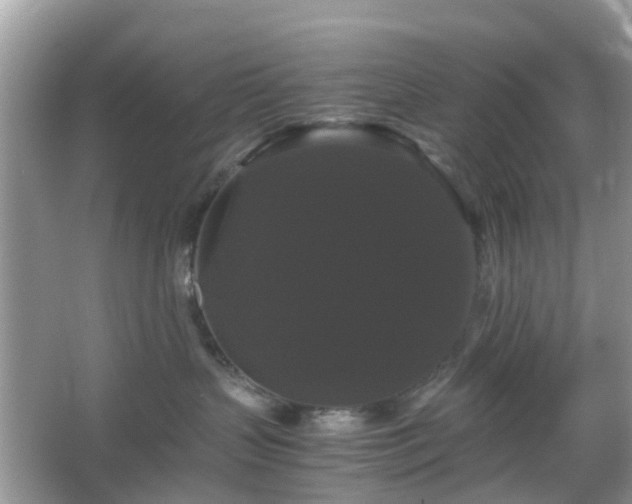 X0000066110383200603131308