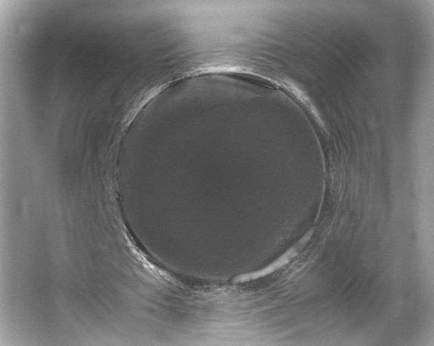 X0000066110385200603131308