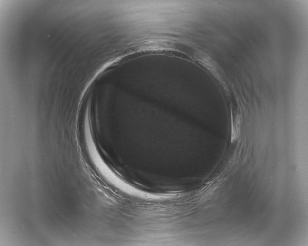 X0000066110387200603131307