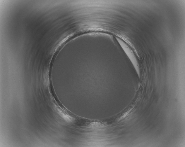 X0000066110390200603131307