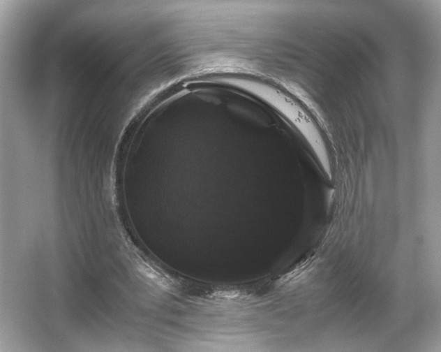 X0000066110391200603131307