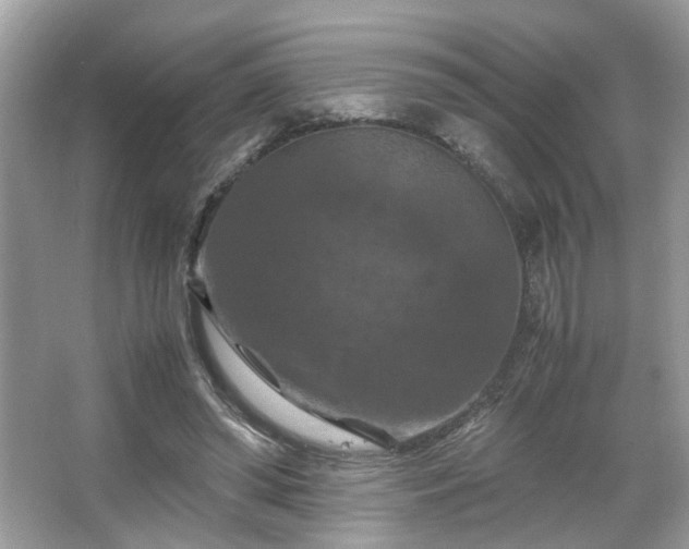 X0000066110398200603131307