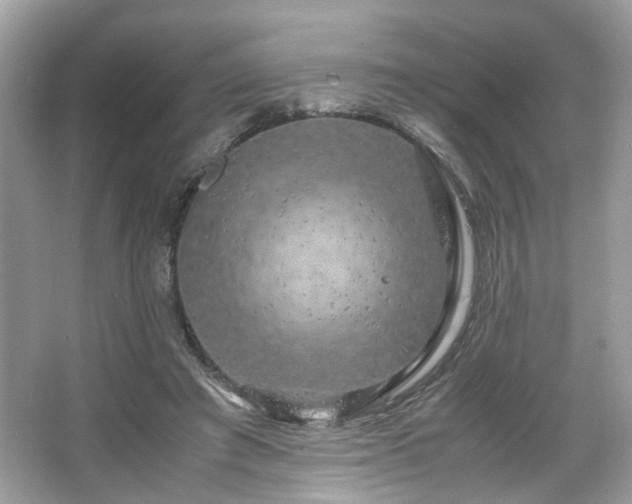 X0000066110401200603131307