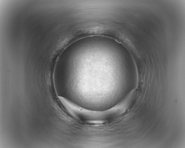 X0000066110403200603131307