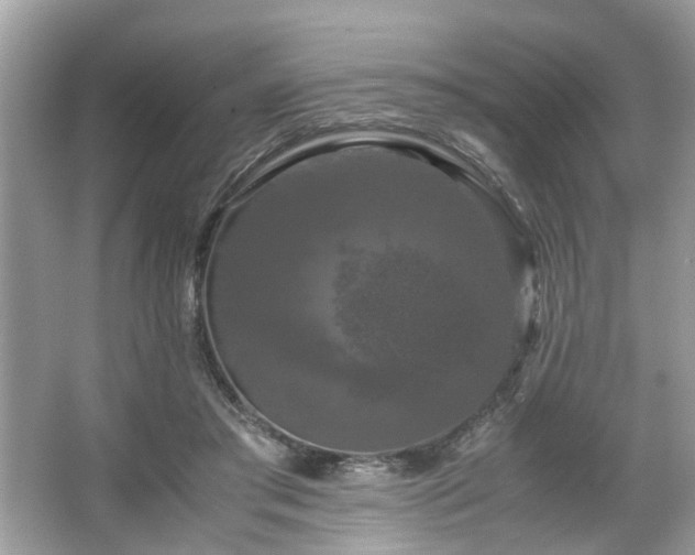 X0000066110405200603131307