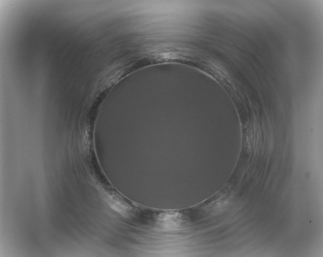 X0000066110410200603131307