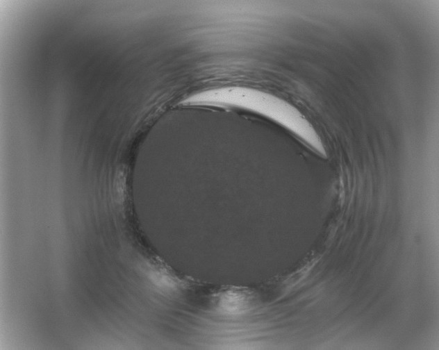 X0000066110412200603131307