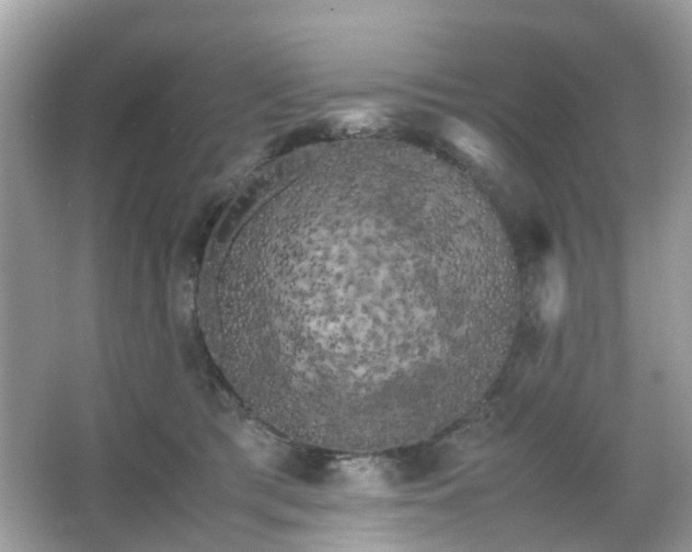 X0000066110417200603131307