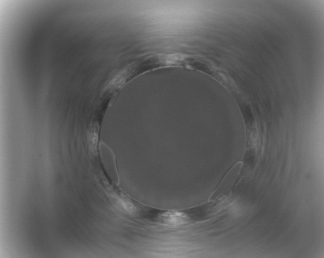 X0000066110427200603131307