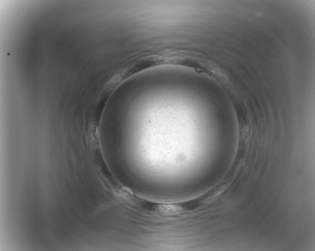 X0000066110429200603131307