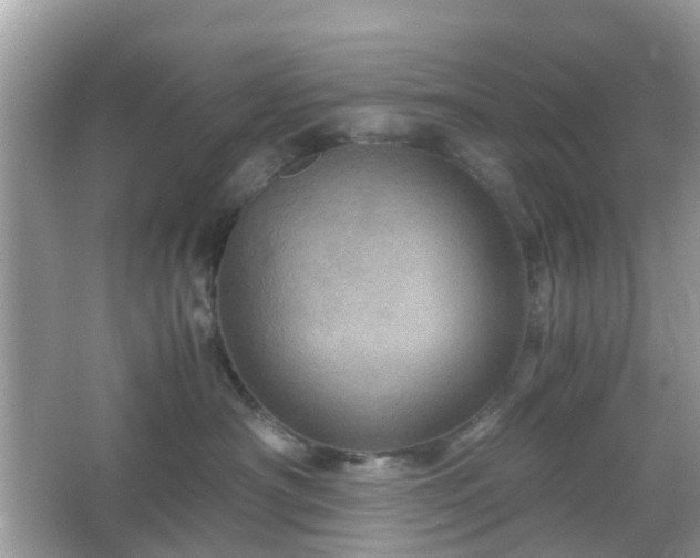X0000066110430200603131307