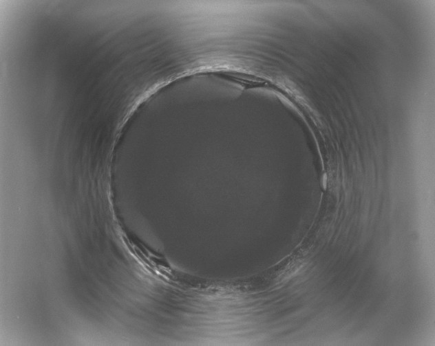 X0000066110434200603131306