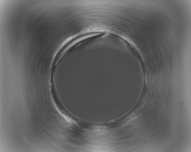 X0000066110438200603131306