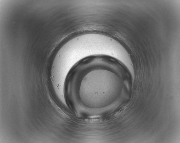 X0000066110448200603131306