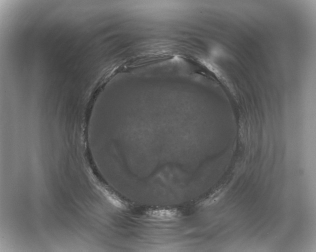 X0000066110449200603131306