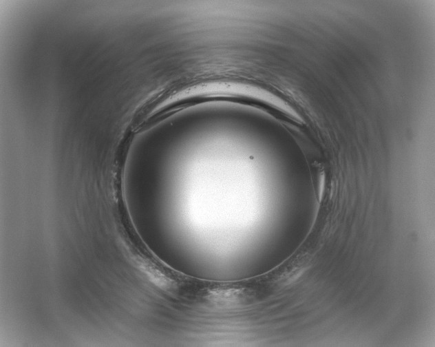 X0000066110450200603131306