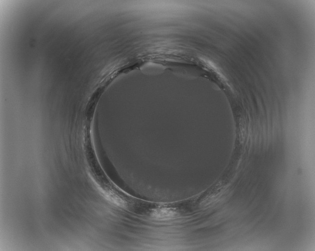 X0000066110451200603131306