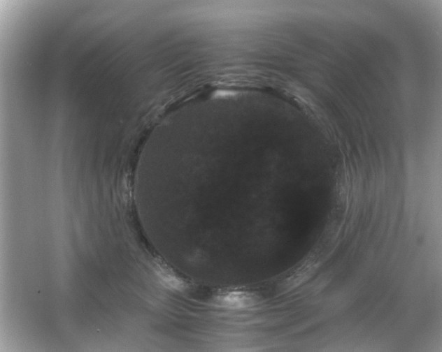 X0000066110467200603131306