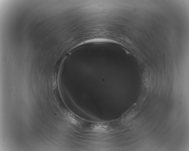 X0000066110471200603131307