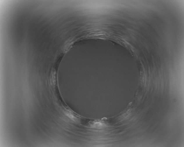 X0000066110475200603131307