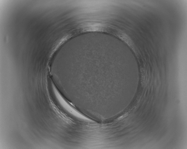 X0000066110482200603131306
