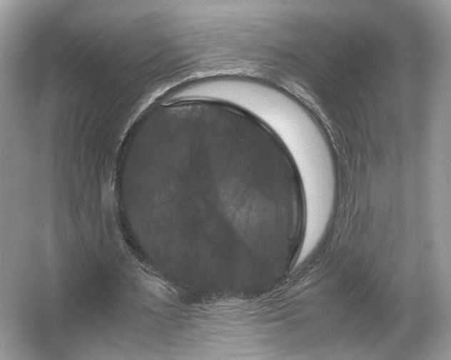 X0000066110483200603131306