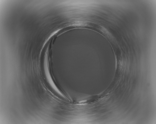 X0000066110484200603131306