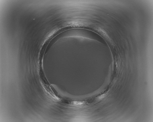 X0000066110488200603131306
