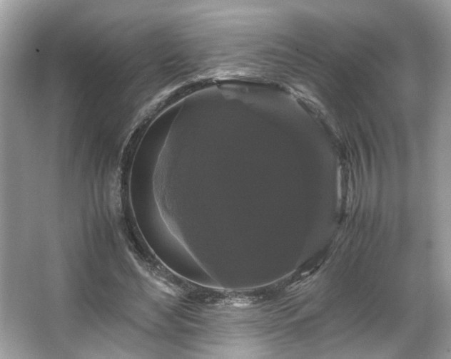 X0000066110492200603131306