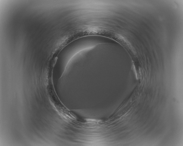 X0000066110496200603131306
