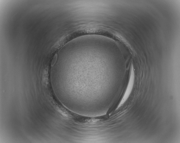 X0000066110497200603131306