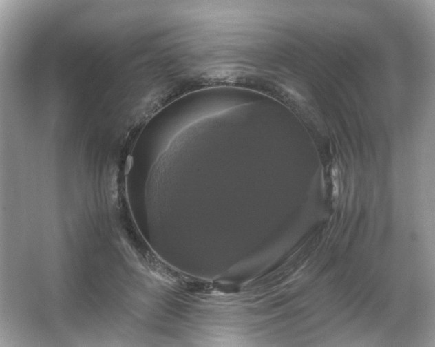 X0000066110504200603131305