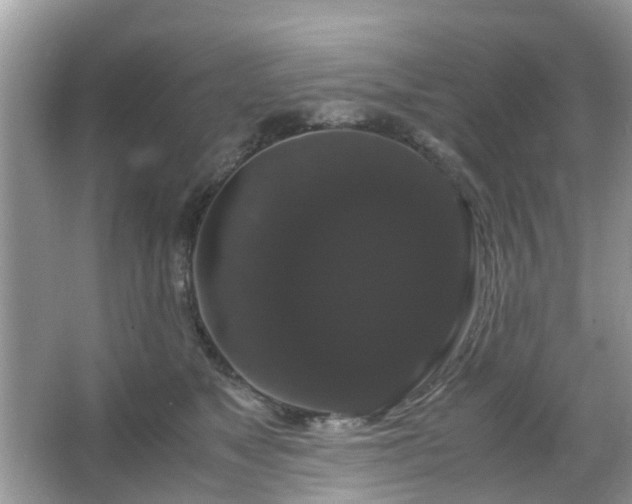 X0000066110517200603131305