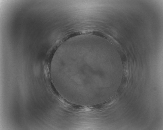 X0000066110523200603131305