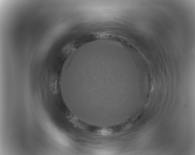 X0000066110525200603131305