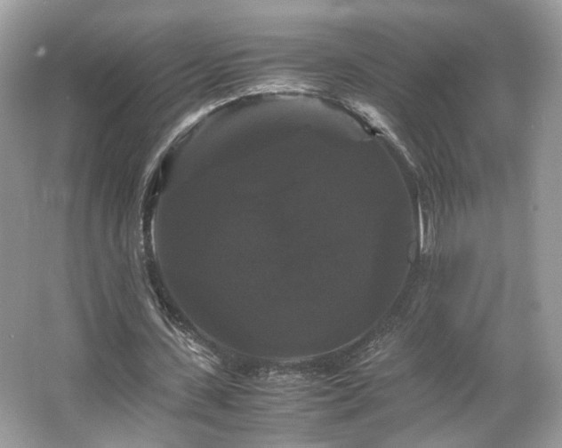 X0000066110531200603131304