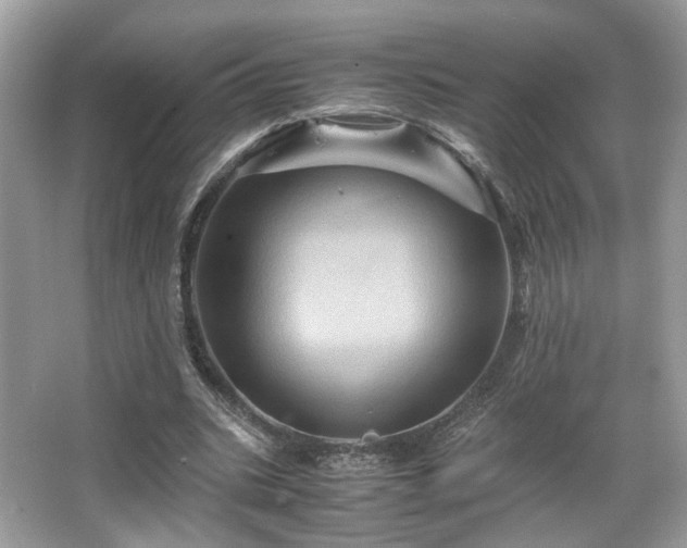 X0000066110535200603131304