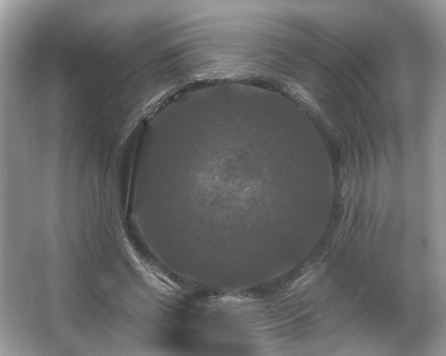 X0000066110542200603131304