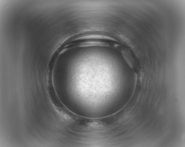X0000066110544200603131305