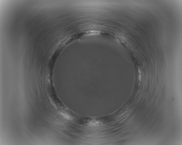 X0000066110547200603131305