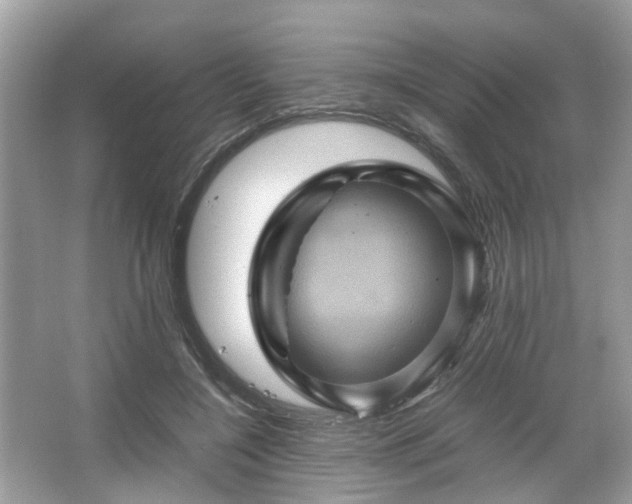 X0000066110548200603131305