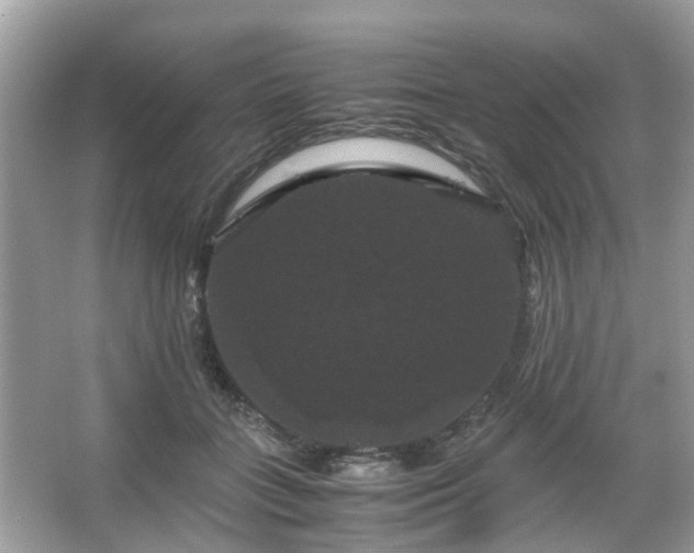 X0000066110555200603131305
