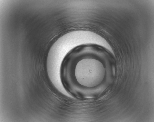 X0000066110556200603131305