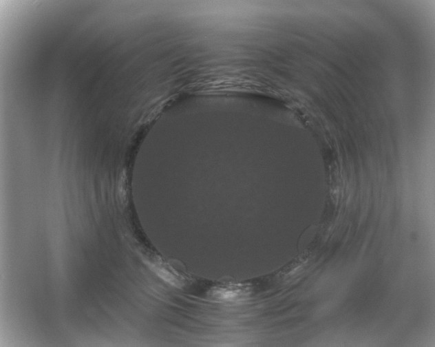 X0000066110563200603131305
