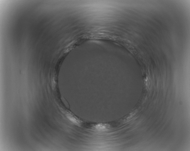X0000066110566200603131305