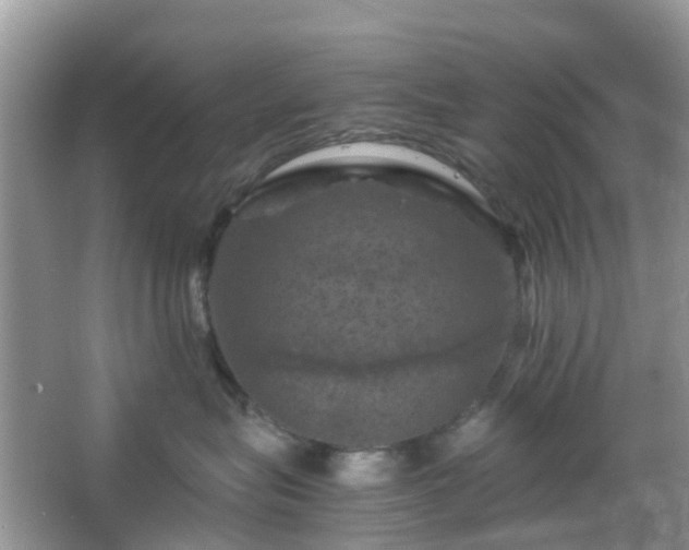 X0000066110575200603131305