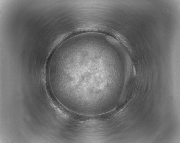 X0000066110578200603131304