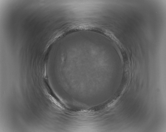 X0000066110585200603131304