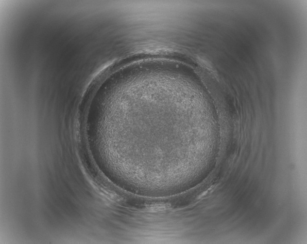 X0000066110587200603131304